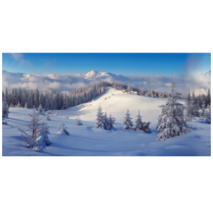 BACKGROUND CLOTH WINTER FOREST XL 300x150CM